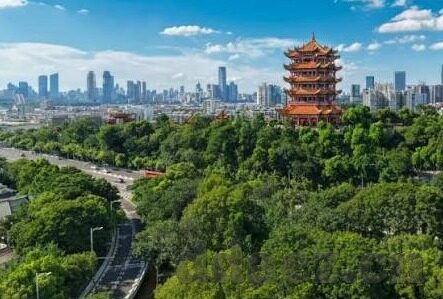 大象传媒app免费进入-探索大象传媒APP的免费之旅，解锁娱乐新视界