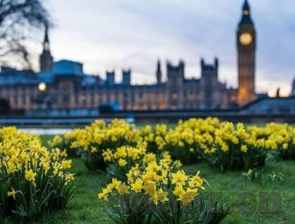 凌辱人妻温泉-温泉之畔的伦理纠葛，凌辱人妻的道德深渊