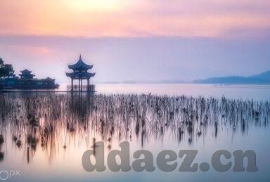 麻豆传媒sp-深度解析社会现象，内容平台的多样性对信息传播的影响