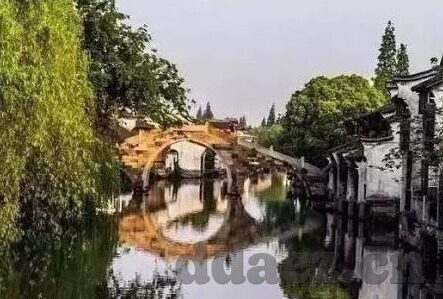 麻豆经济视频app-解锁麻豆经济，解析麻豆经济视频APP的商业潜力和文化影响力