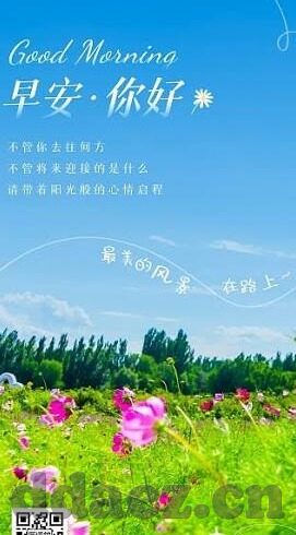 芒果大象传媒一二三-芒果大象传媒，数字时代的创新与融合