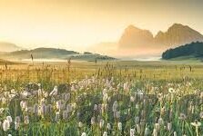 糖心app旧版本-怀旧复刻，那些日子里，糖心app旧版本的温暖记忆